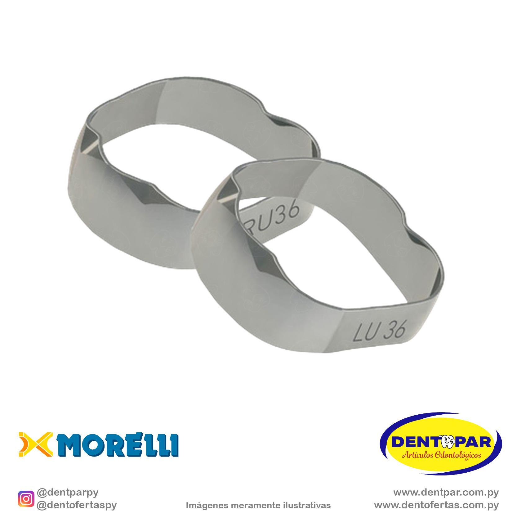 Imagen del producto Banda Anat 1y2 Mol S/D y S/I #36