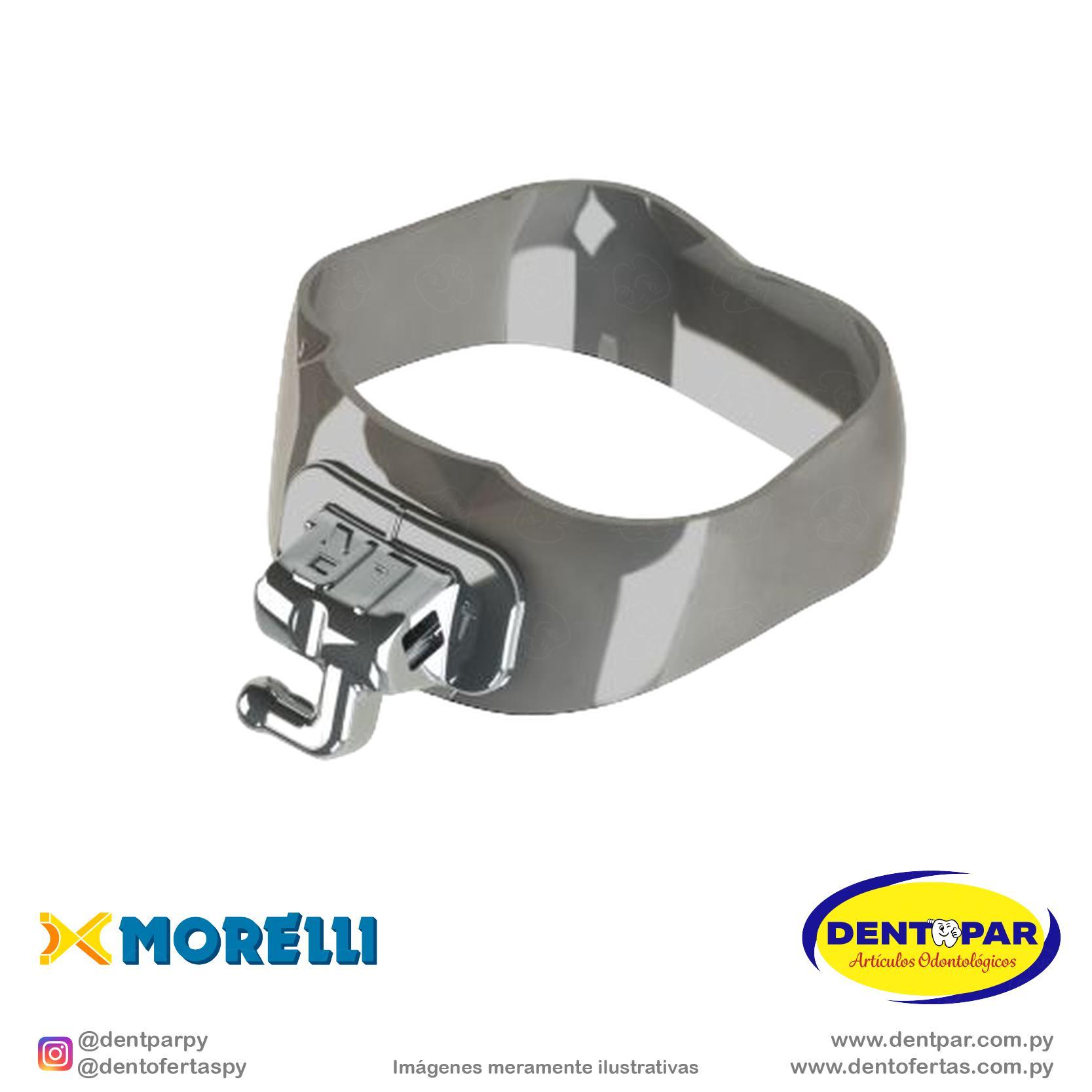 Imagen del producto Banda PS 1y2 Mol I/D y I/I #39 Tub simple