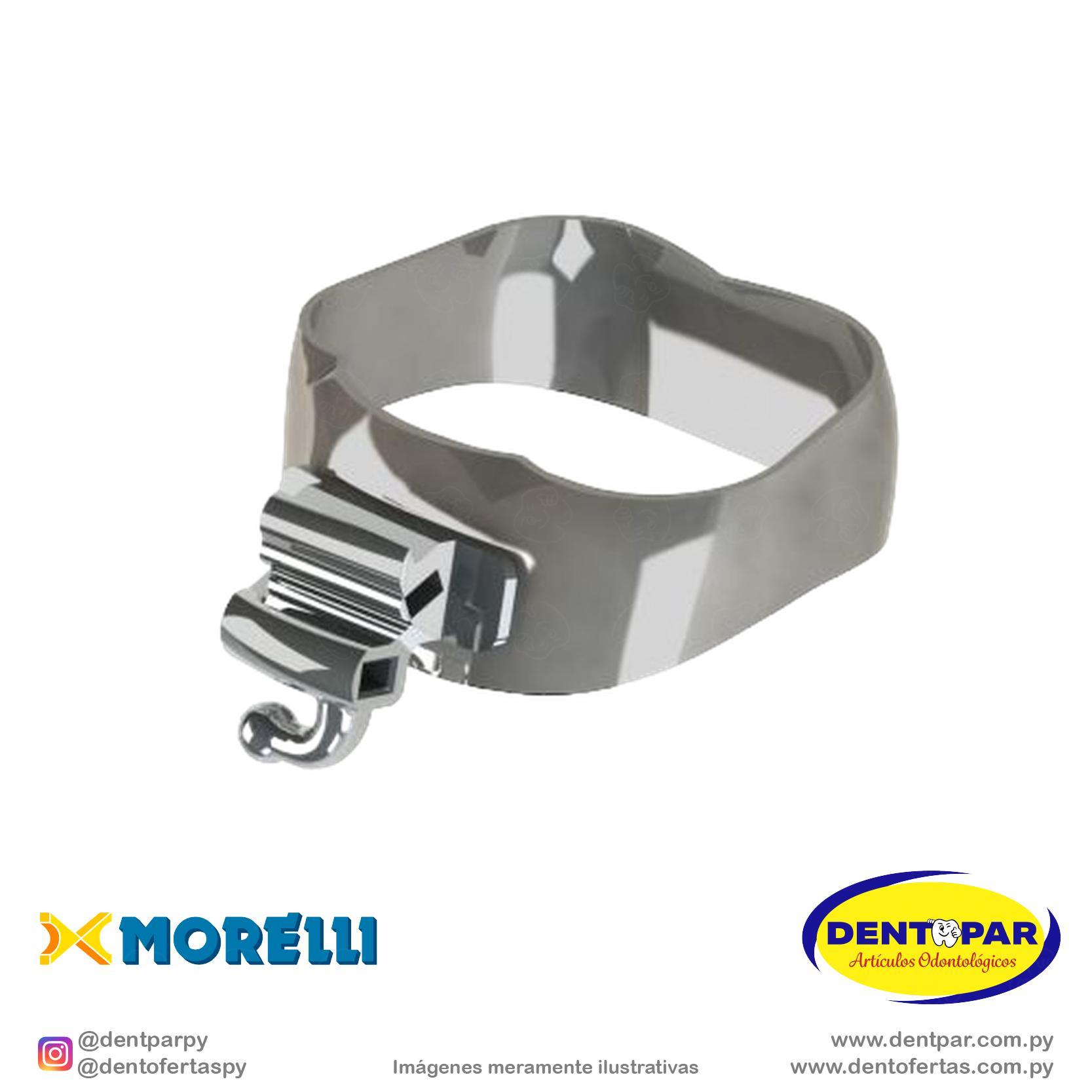 Imagen del producto Banda PS 1y2 Mol I/D y I/Z #36.5 Tub dob